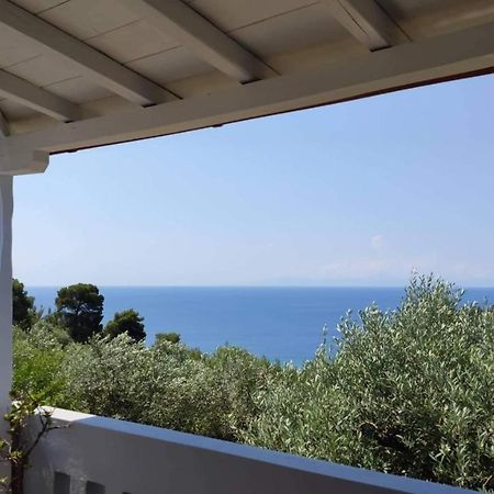 Elia House 1 Astoning Sea View Among The Olive Trees Apartment Patitiri  Luaran gambar