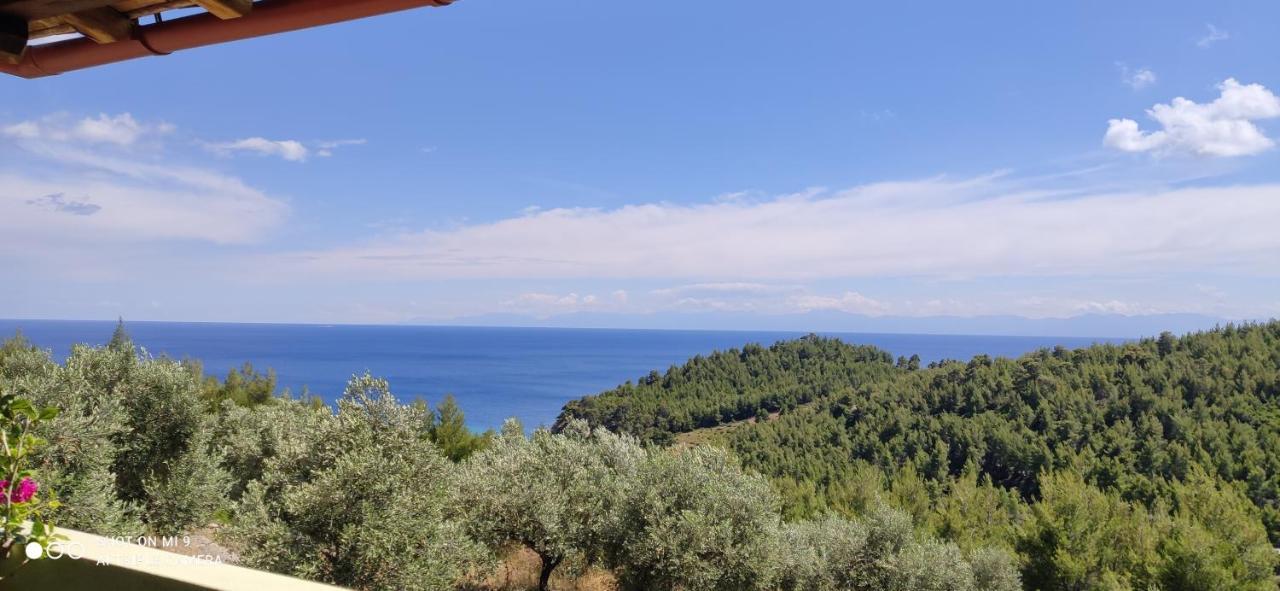 Elia House 1 Astoning Sea View Among The Olive Trees Apartment Patitiri  Luaran gambar