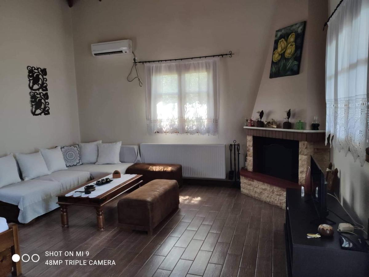 Elia House 1 Astoning Sea View Among The Olive Trees Apartment Patitiri  Luaran gambar