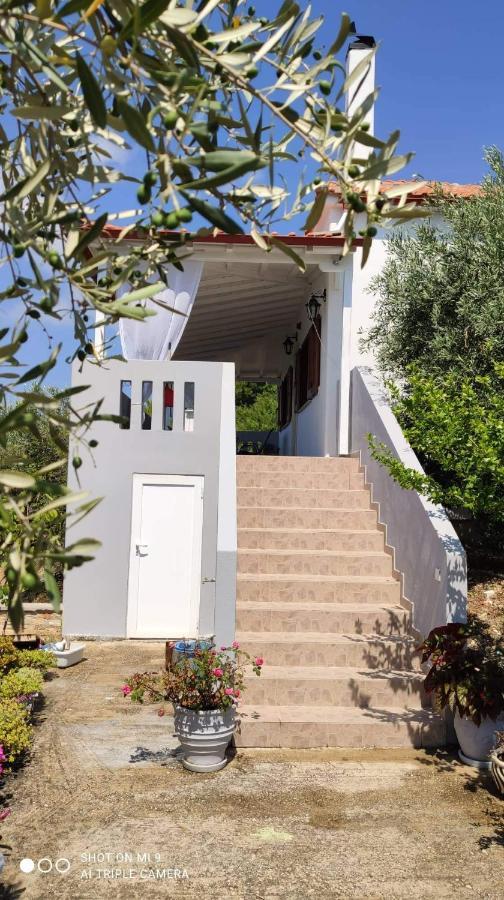 Elia House 1 Astoning Sea View Among The Olive Trees Apartment Patitiri  Luaran gambar
